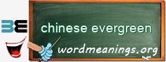 WordMeaning blackboard for chinese evergreen